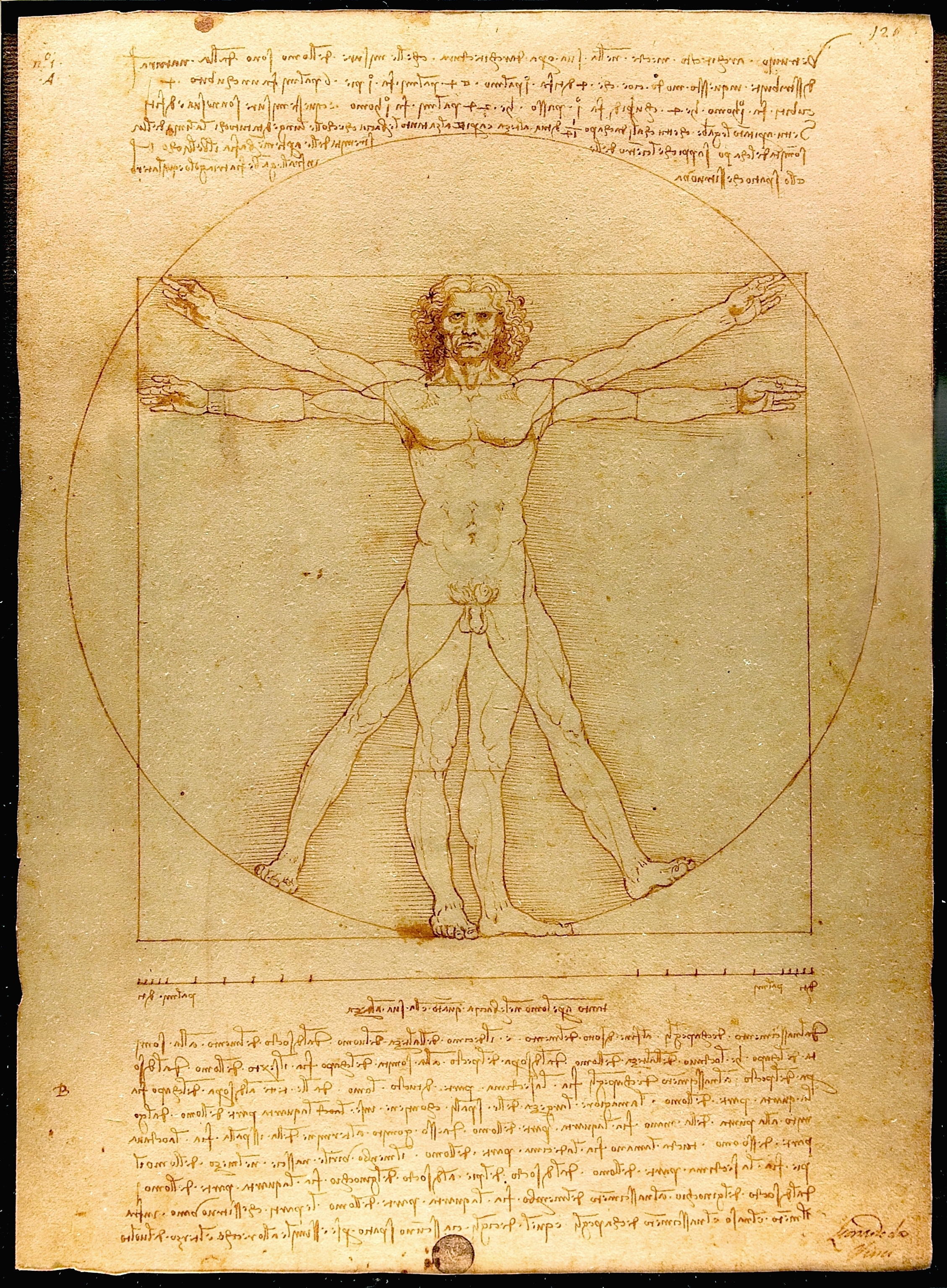 Leonardo da Vinci, Vitruvian Man